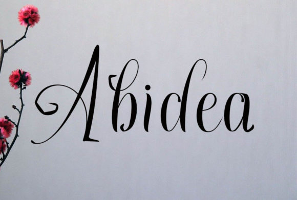 Abidea Font - Featured Image
