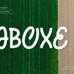 Aboxe Font - Featured Image
