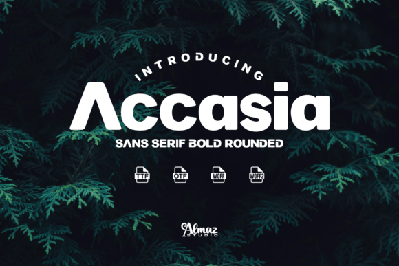 Accasia Font - Featured Image