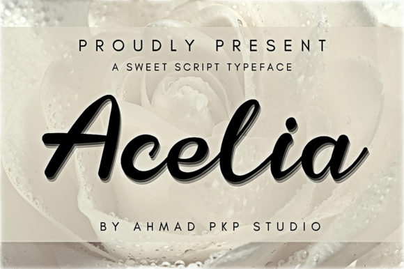 Acelia Font - Featured Image