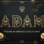 Adam Font - Featured Image