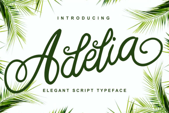 Adelia Font - Featured Image