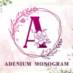 Adenium Monogram Font - Featured Image