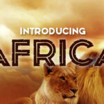 Africa Font - Featured Image