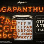 Agapanthus Font - Featured Image