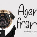 Agent Frank Font - Featured Image