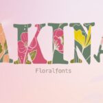 Akina Font - Featured Image