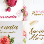 Alamanda Font - Featured Image