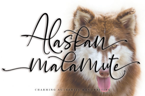 Alaskan Malamute Font - Featured Image