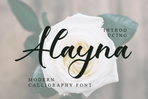 Alayna Font - Featured Image
