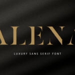 Alena Font - Featured Image