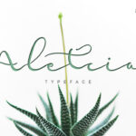 Aletcia Font - Featured Image