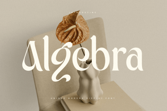 Algebra Font - Featured Image