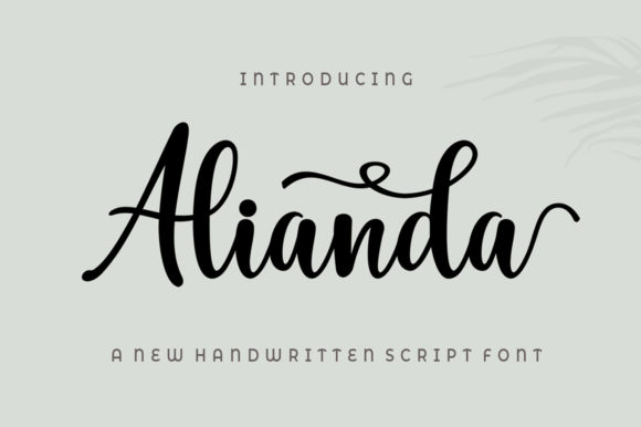Alianda Script Font - Featured Image