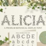 Alicia Font - Featured Image