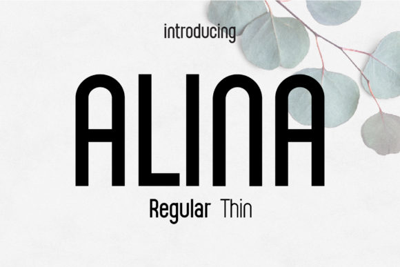 Alina Font - Featured Image
