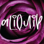 Aliquip Font - Featured Image