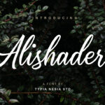 Alishader Font - Featured Image