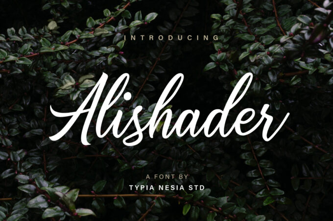 Alishader Font - Featured Image