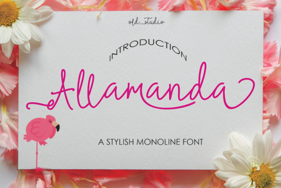 Allamanda Font - Featured Image