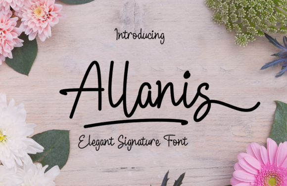 Allanis Font - Featured Image