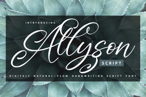 Allyson Font - Featured Image