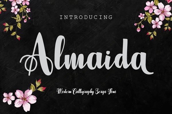 Almaida Font - Featured Image