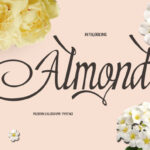 Almond Font - Featured Image