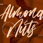 Almond Nuts Font - Featured Image