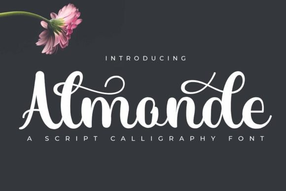 Almonde Font - Featured Image
