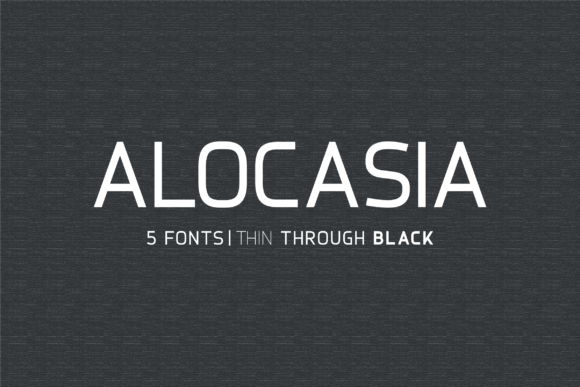 Alocasia Font - Featured Image