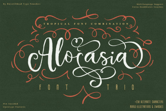 Alocasia Font - Featured Image