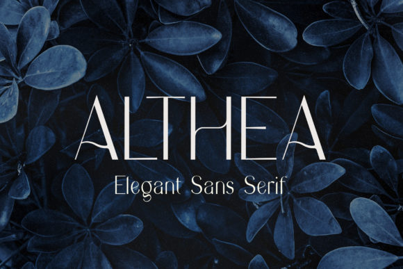 Althea Font - Featured Image