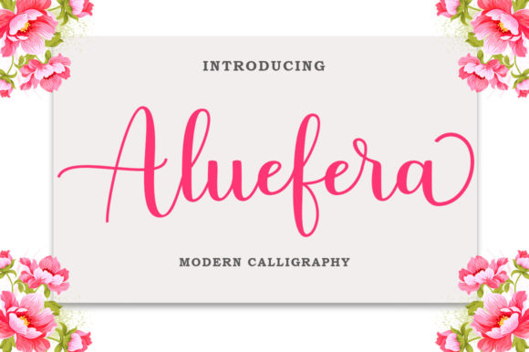 Aluefera Script Font - Featured Image