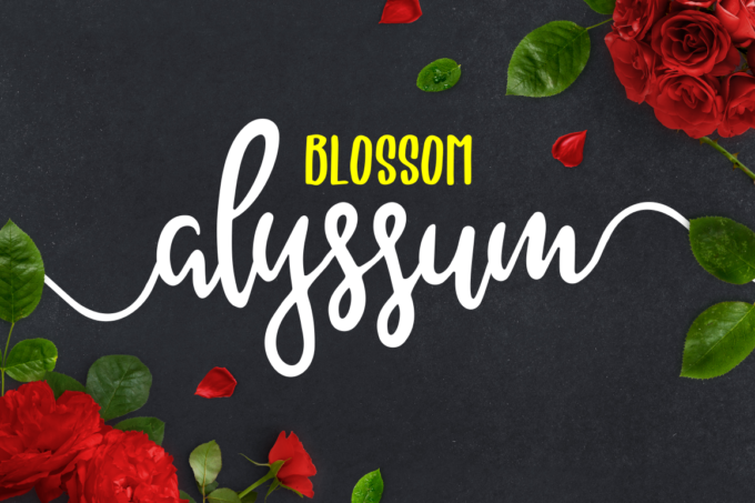Alyssum Blossom Font - Featured Image
