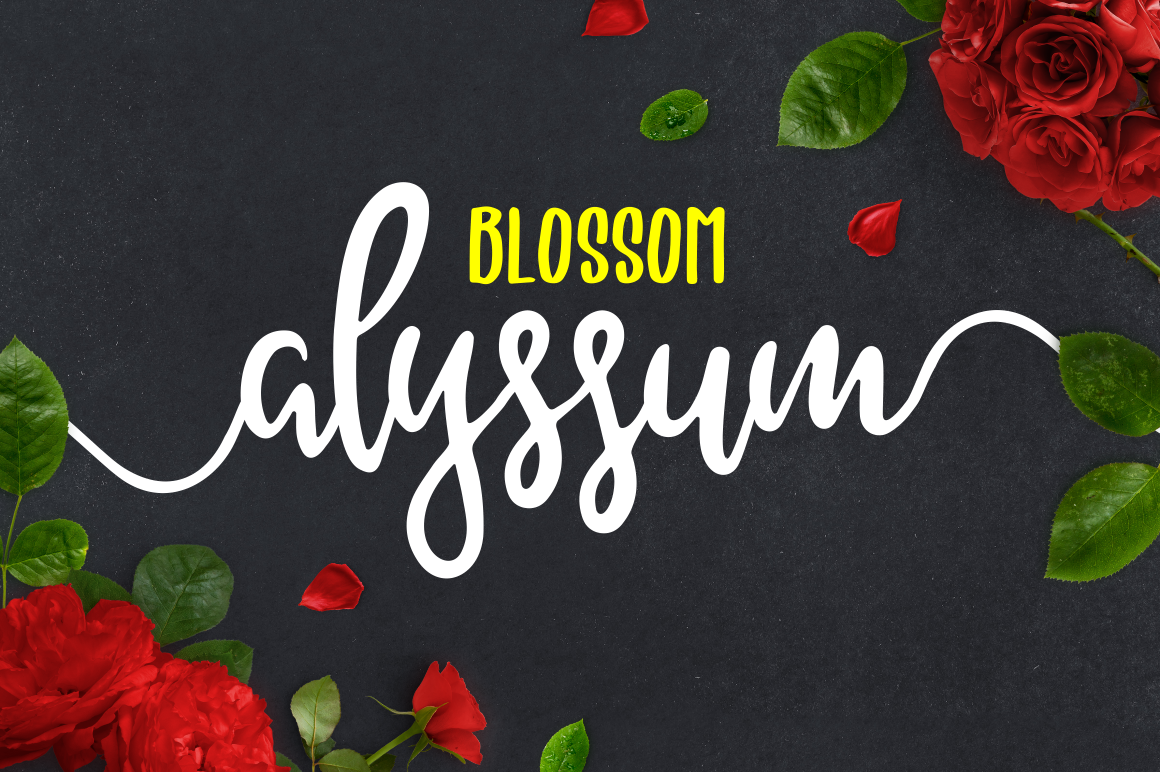 Alyssum Blossom Font - Featured Image