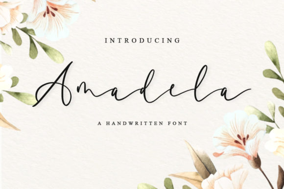Amadela Font - Featured Image