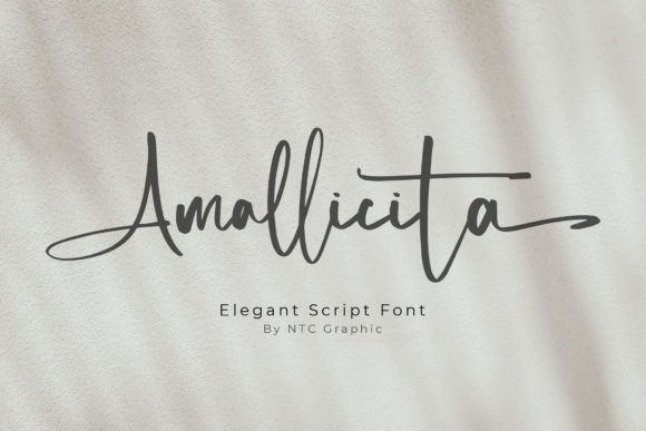 Amallicita Font - Featured Image