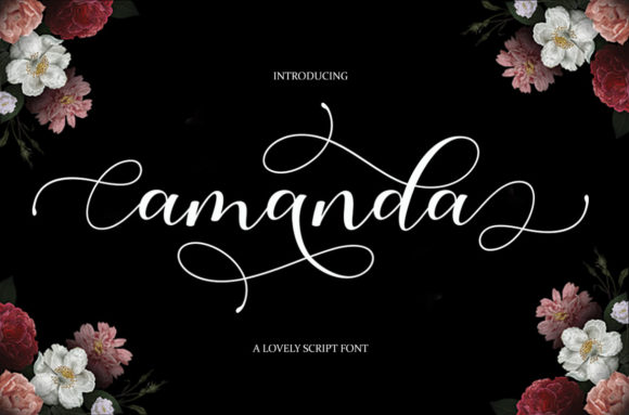 Amanda Font - Featured Image