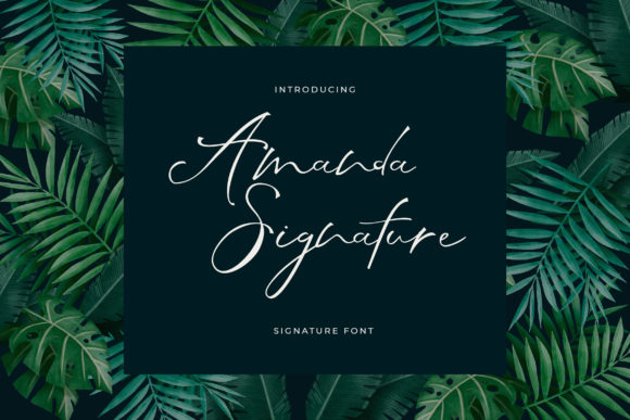 Amanda Signature Font - Featured Image