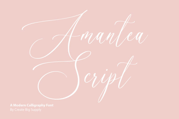 Amantea Script Font - Featured Image