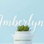 Amberlyne Font - Featured Image
