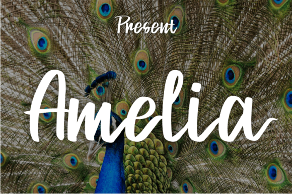 Amelia Font - Featured Image