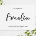 Amelia Font - Featured Image