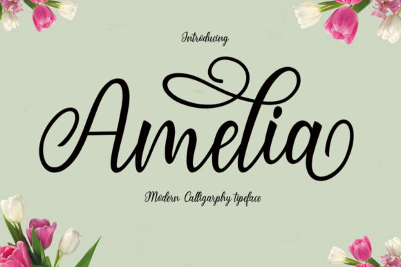 Amelia Font - Featured Image