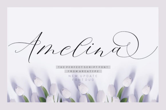 Amelina Duo Font - Featured Image