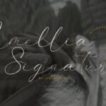 Amellia Signature Font - Featured Image
