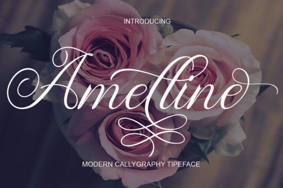 Amelline Font - Featured Image