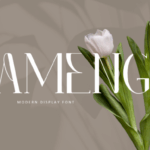 Ameng Font - Featured Image