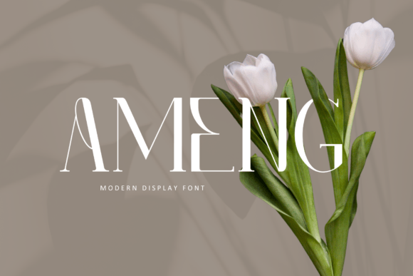 Ameng Font - Featured Image
